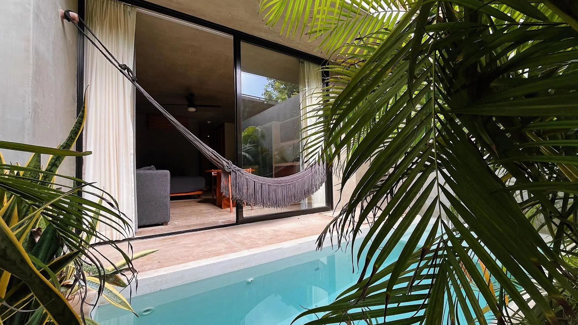 Seremonia Studios By Vida De Playa Rentals contacts